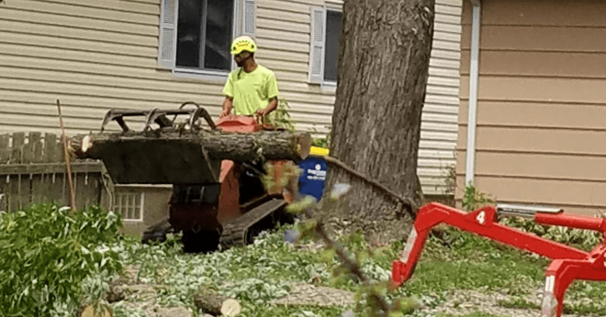 Emergency Tree Service