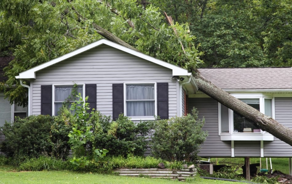 A fallen tree on a home in St. Louis, MO following a tornado.
