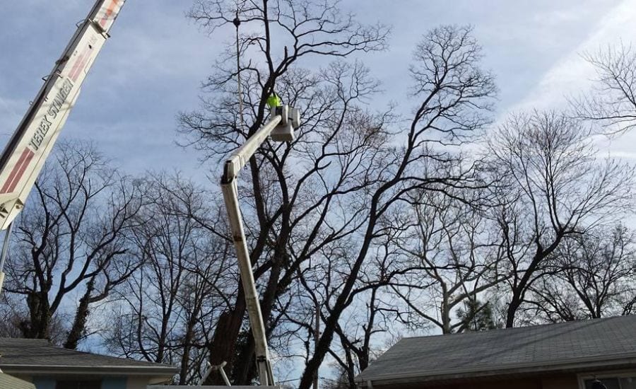 Mathias Precision using heavy equipment to perform structural pruning at a house in St Charles County, MO
