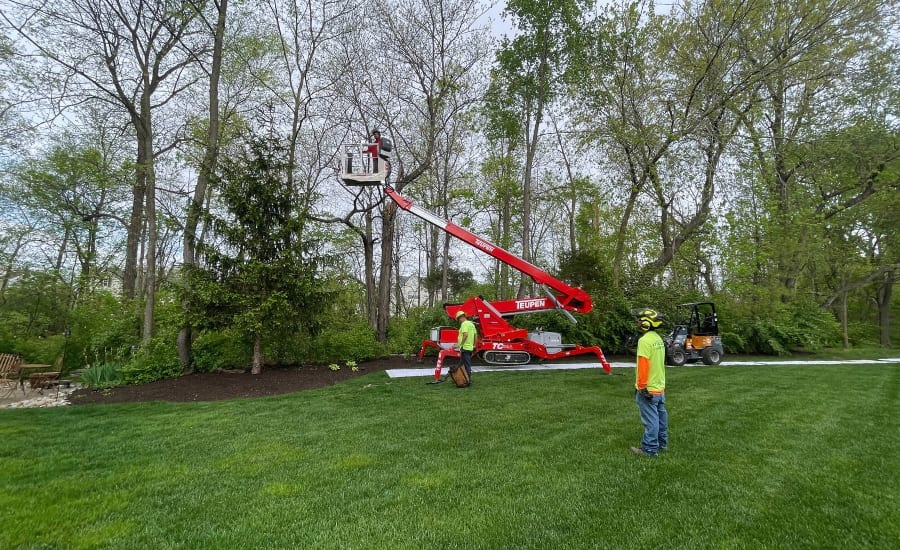 Mathais Precision doing some early fall tree pruning to remove damaged branches, near St Louis, MO