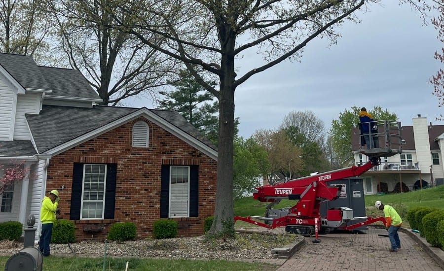 The Mathias team setting up a spider lift to prune a tree in St. Peters, MO.