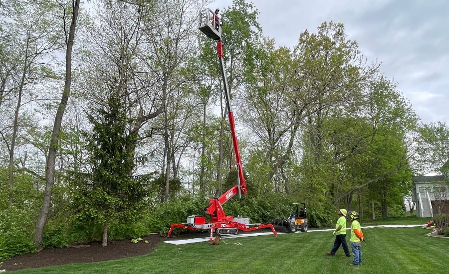The Mathias team pruning a tree in Hazelwood, MO.