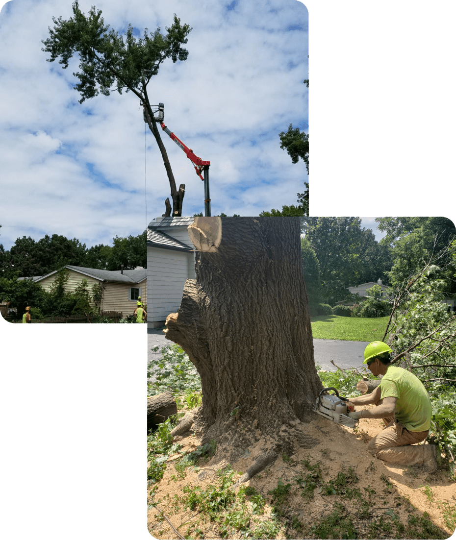 about mathias services