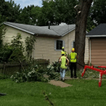 deep root fertilization