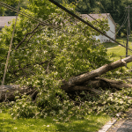 Tree branches are growing dangerously close to residential power lines in St. Charles County, Missouri.