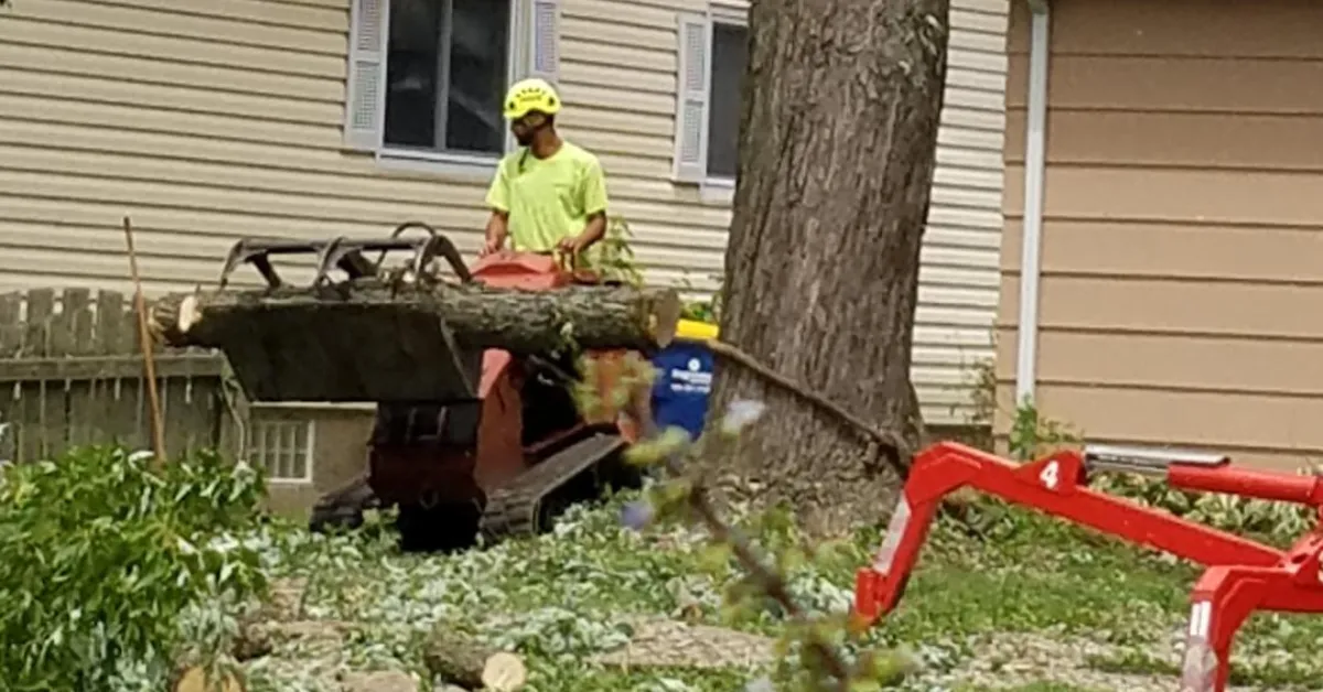 Emergency Tree Service