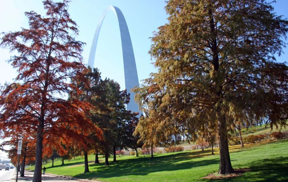 Trees showing their fall colors in St Louis, MO.