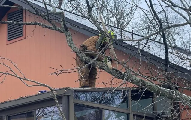 Emergency Tree Service in St. Louis: What to Do After Storm Damage