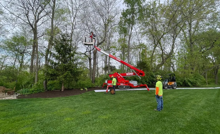 Mathais Precision doing some early fall tree pruning to remove damaged branches, near St Louis, MO