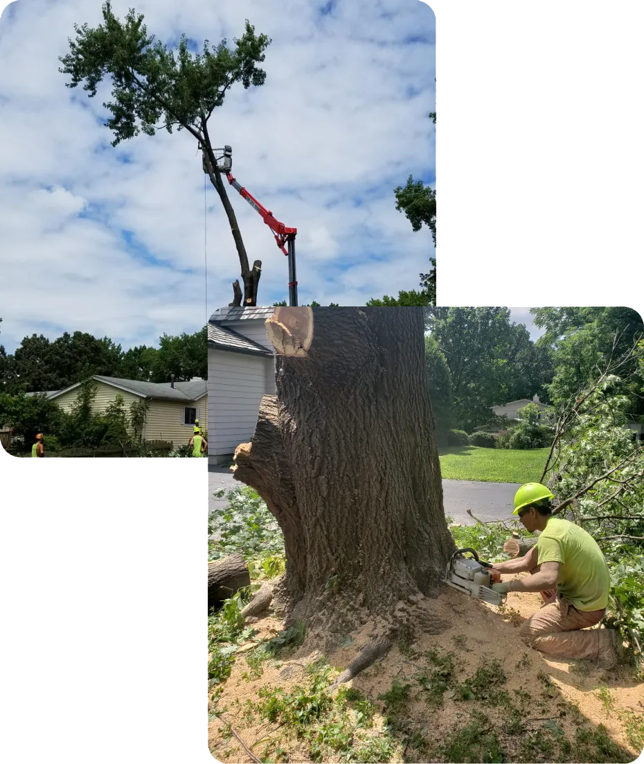 about mathias services