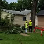 deep root fertilization