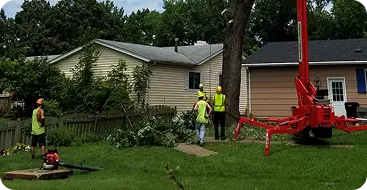 deep root fertilization