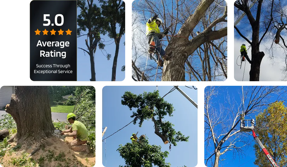 about mathias services