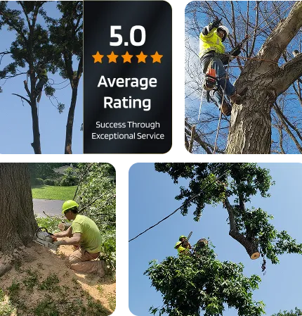 about mathias services