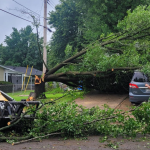 Emergency Tree Services & Storm Cleanup