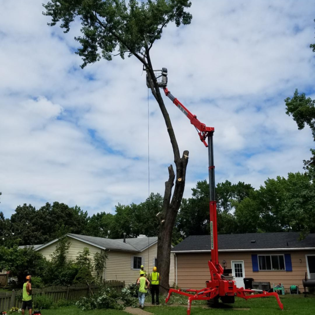Tree Removal Cost in St. Charles, MO