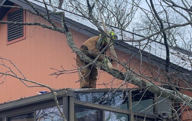 Emergency Tree Service in St. Louis: What to Do After Storm Damage