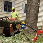 stump grinding